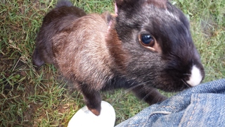 20130814_093207.jpg