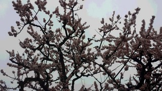20150309_151955.jpg