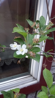 20150430_171314.jpg